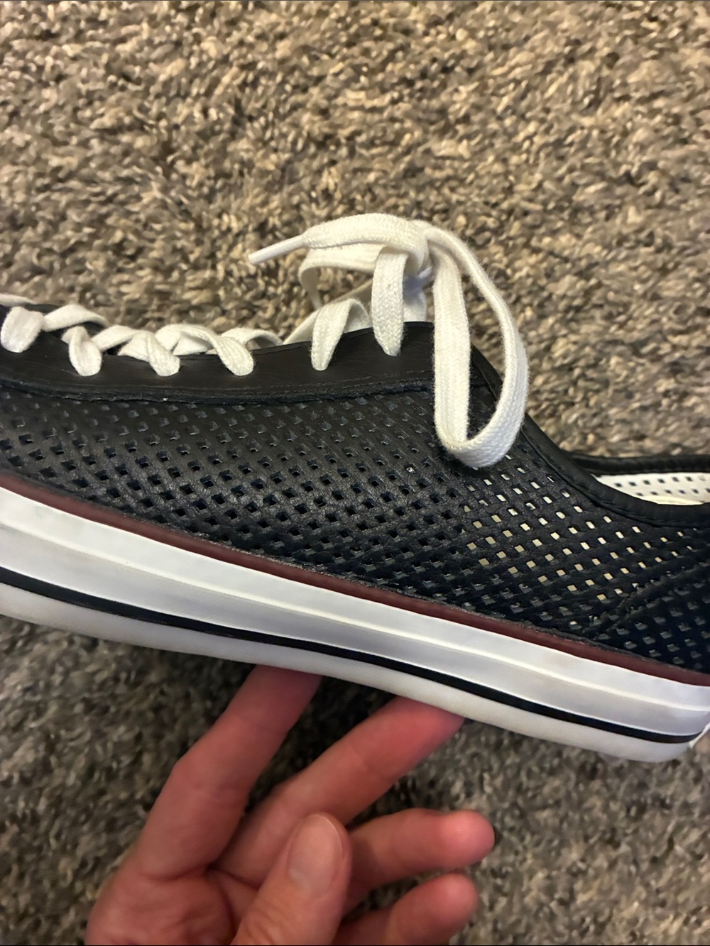 Converse Low-Top Black Canvas Sneakers with White Toe Cap - Picture 6 of 6